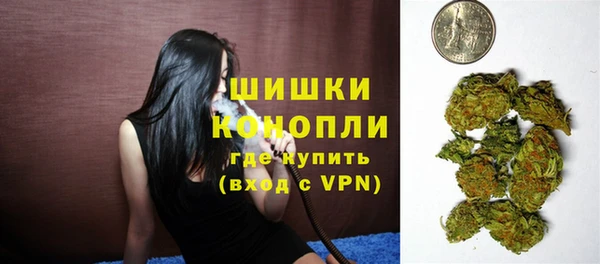 прущие грибы Баксан