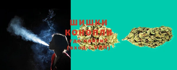 прущие грибы Баксан
