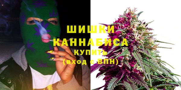 прущие грибы Баксан