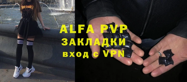 прущие грибы Баксан