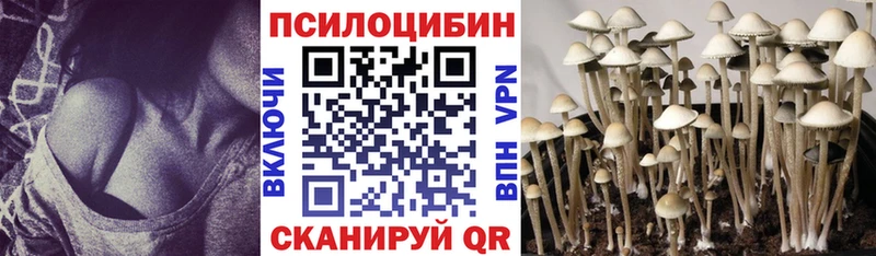Галлюциногенные грибы Cubensis  продажа наркотиков  Ряжск 